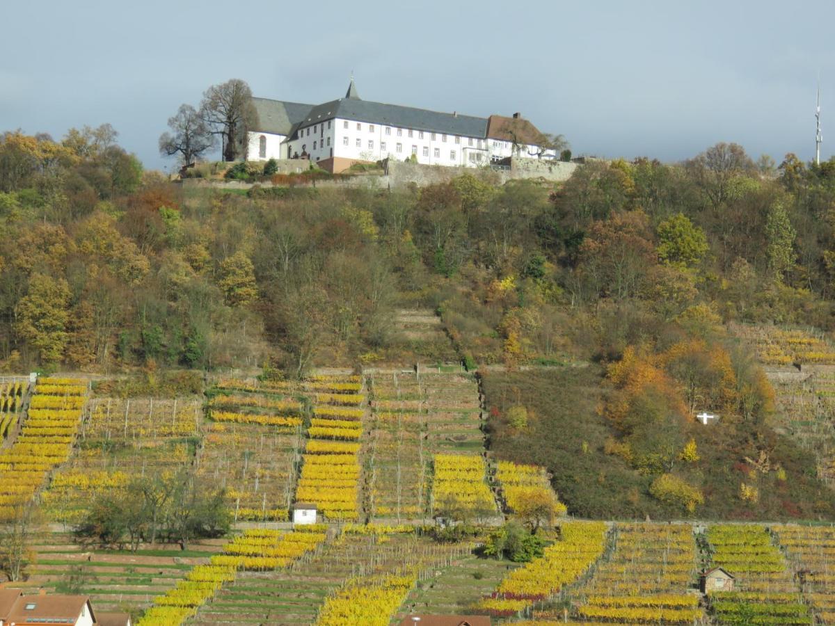 Ferienwohnungen Haus Albert Großheubach Eksteriør bilde