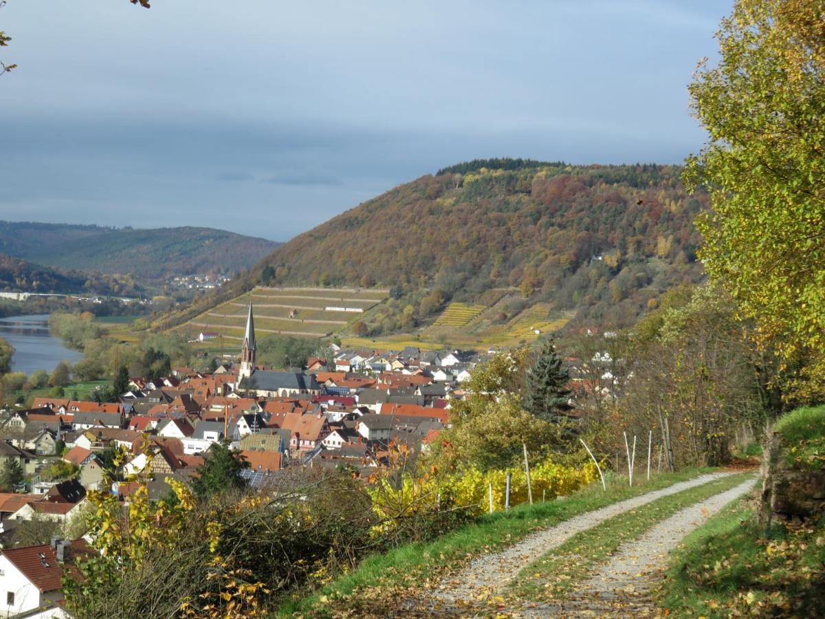 Ferienwohnungen Haus Albert Großheubach Eksteriør bilde